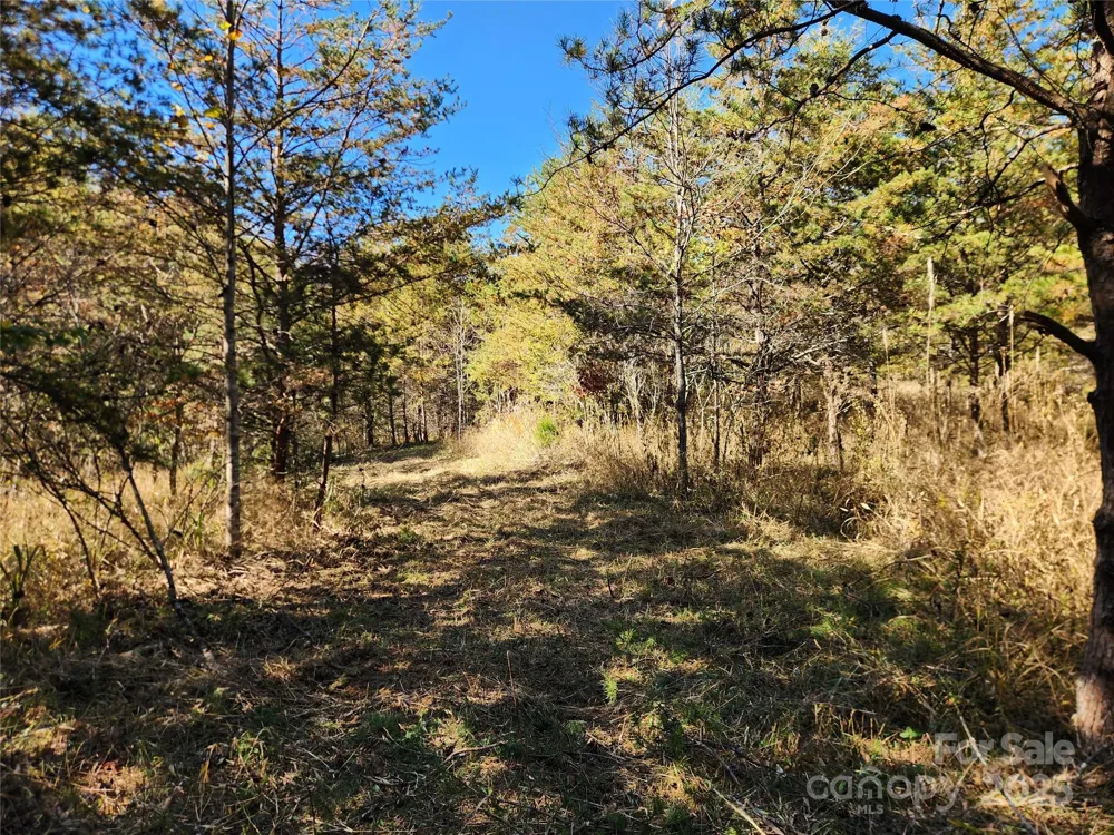 701 Moravian Falls Road Wilkesboro, NC 28697