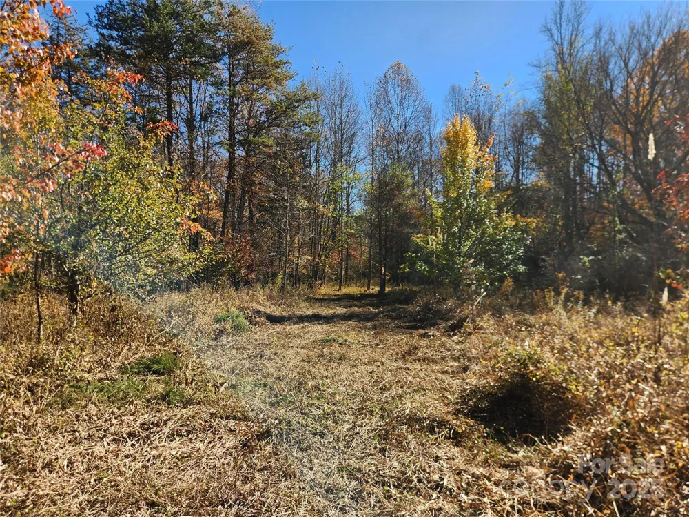 701 Moravian Falls Road Wilkesboro, NC 28697