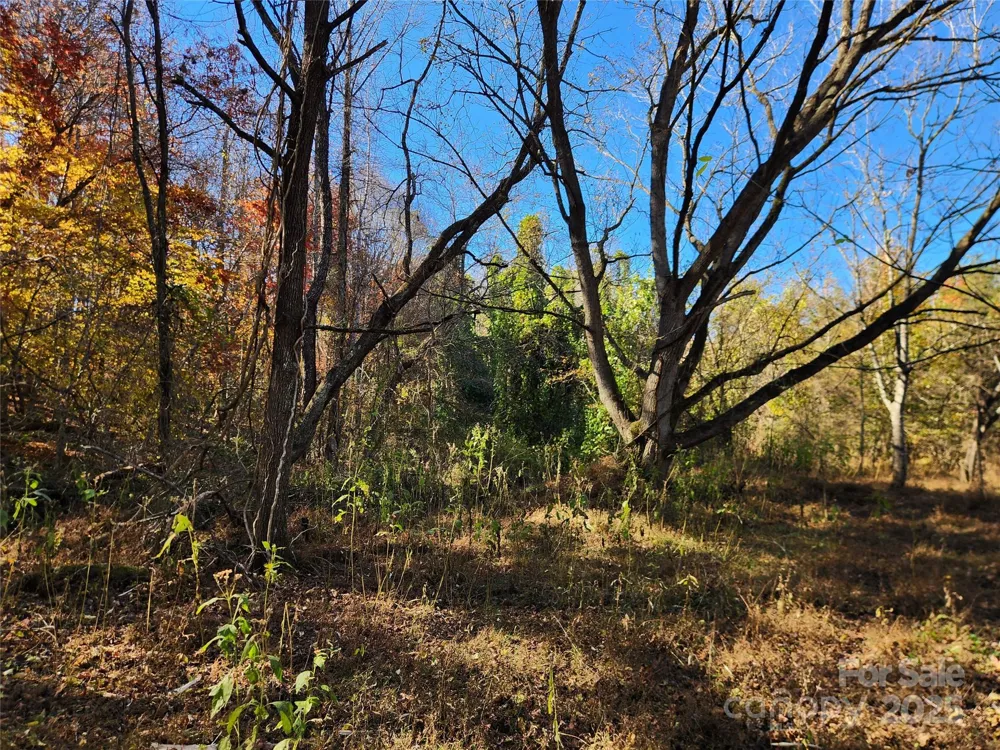 701 Moravian Falls Road Wilkesboro, NC 28697