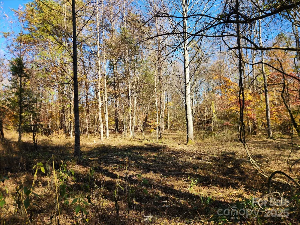 701 Moravian Falls Road Wilkesboro, NC 28697