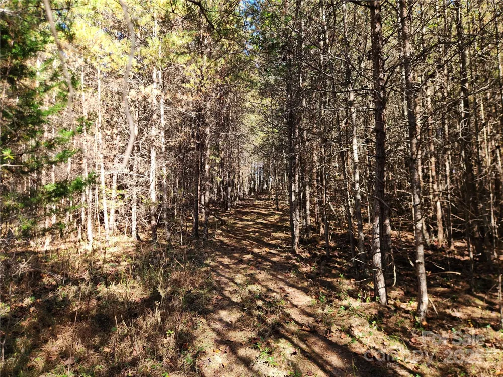 701 Moravian Falls Road Wilkesboro, NC 28697
