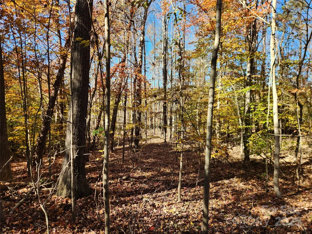 701 Moravian Falls Road Wilkesboro, NC 28697