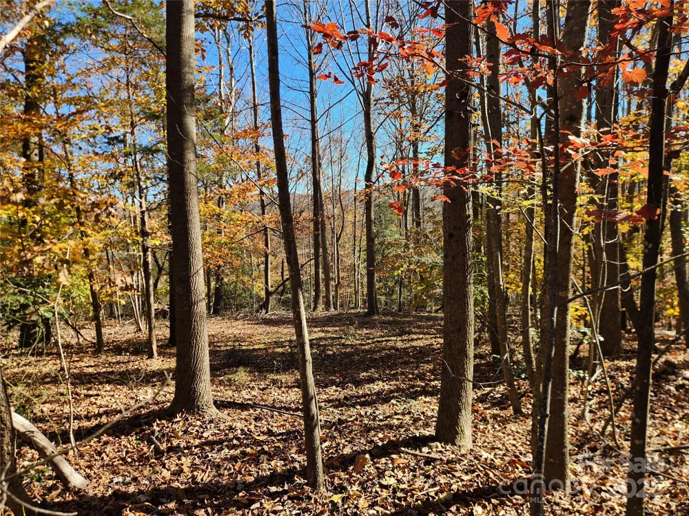 701 Moravian Falls Road Wilkesboro, NC 28697