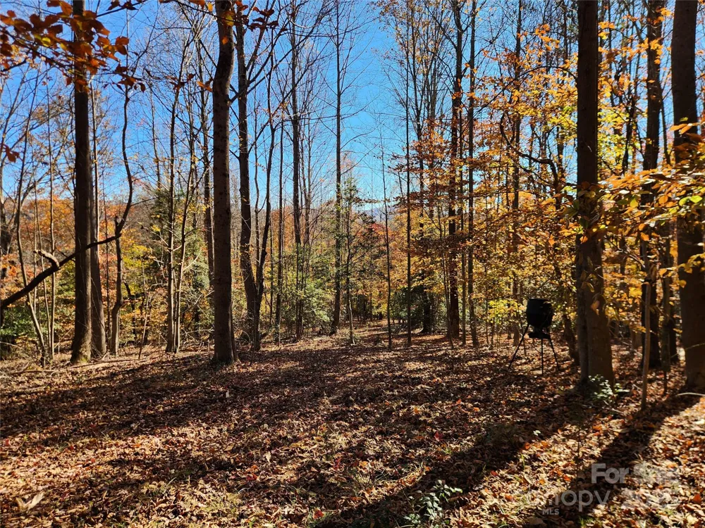 701 Moravian Falls Road Wilkesboro, NC 28697
