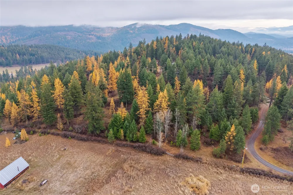 700 L Dry Gulch Road Colville, WA 99114