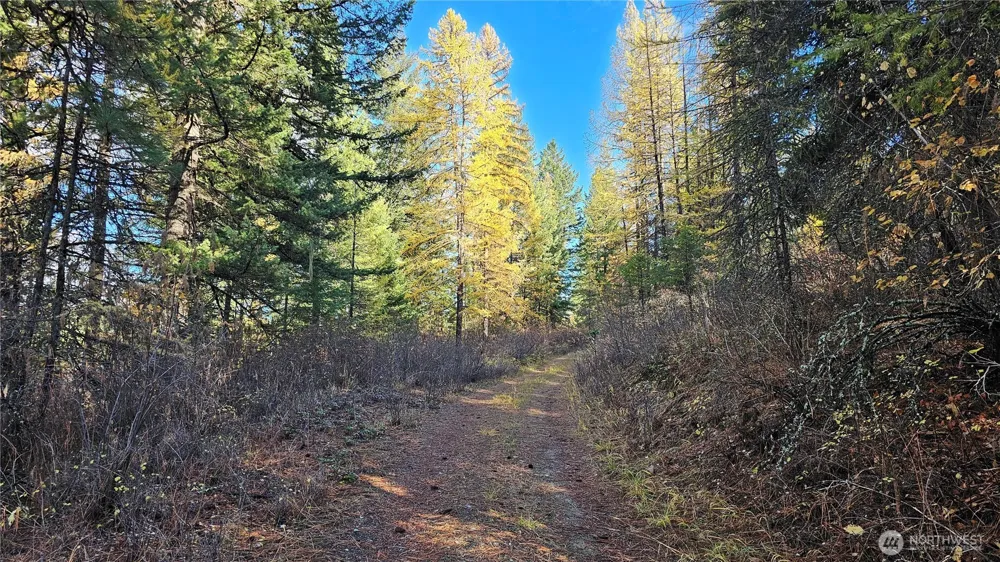 700 L Dry Gulch Road Colville, WA 99114
