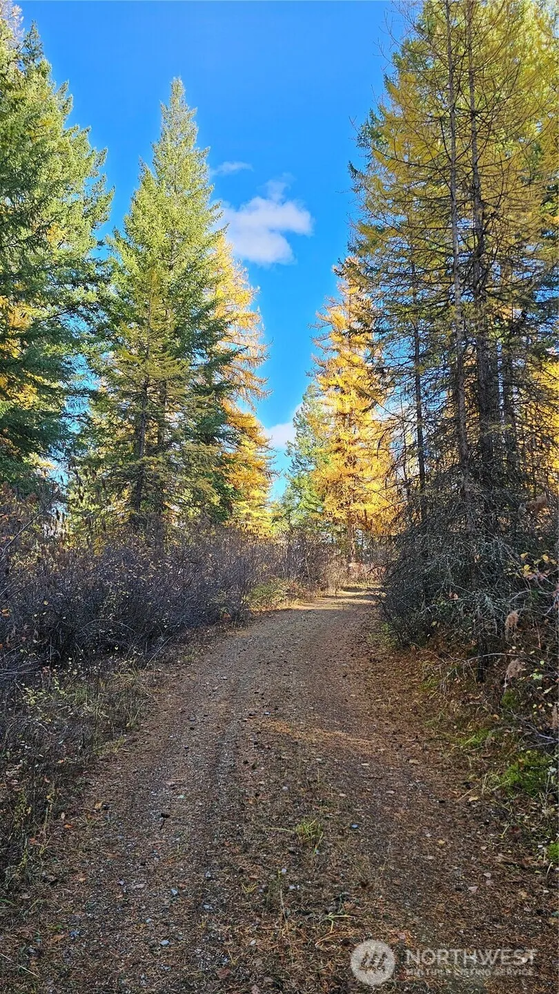 700 L Dry Gulch Road Colville, WA 99114