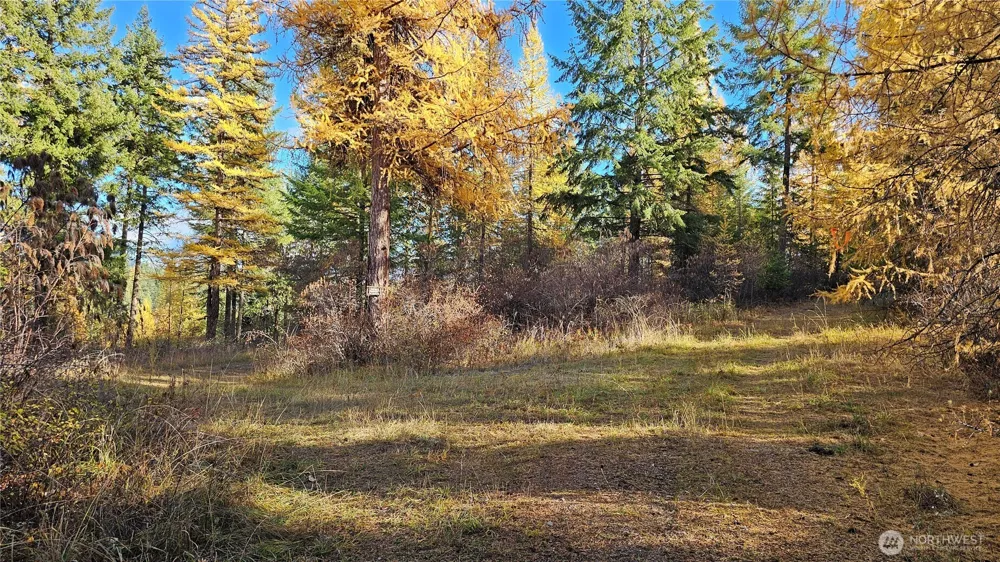 700 L Dry Gulch Road Colville, WA 99114