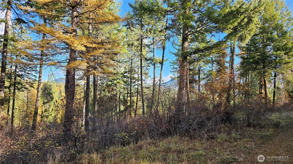 700 L Dry Gulch Road Colville, WA 99114