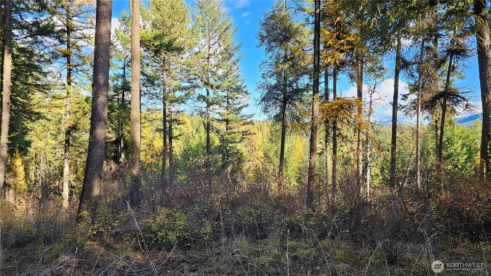 700 L Dry Gulch Road Colville, WA 99114