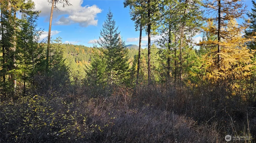 700 L Dry Gulch Road Colville, WA 99114