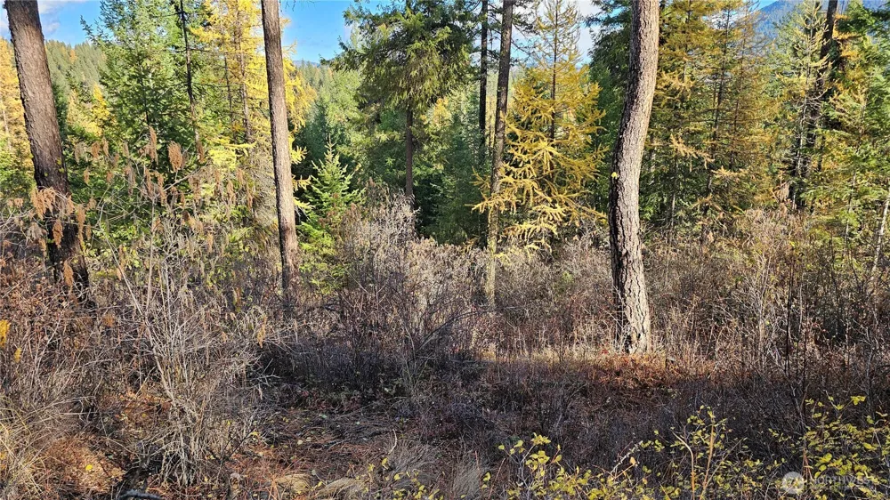 700 L Dry Gulch Road Colville, WA 99114