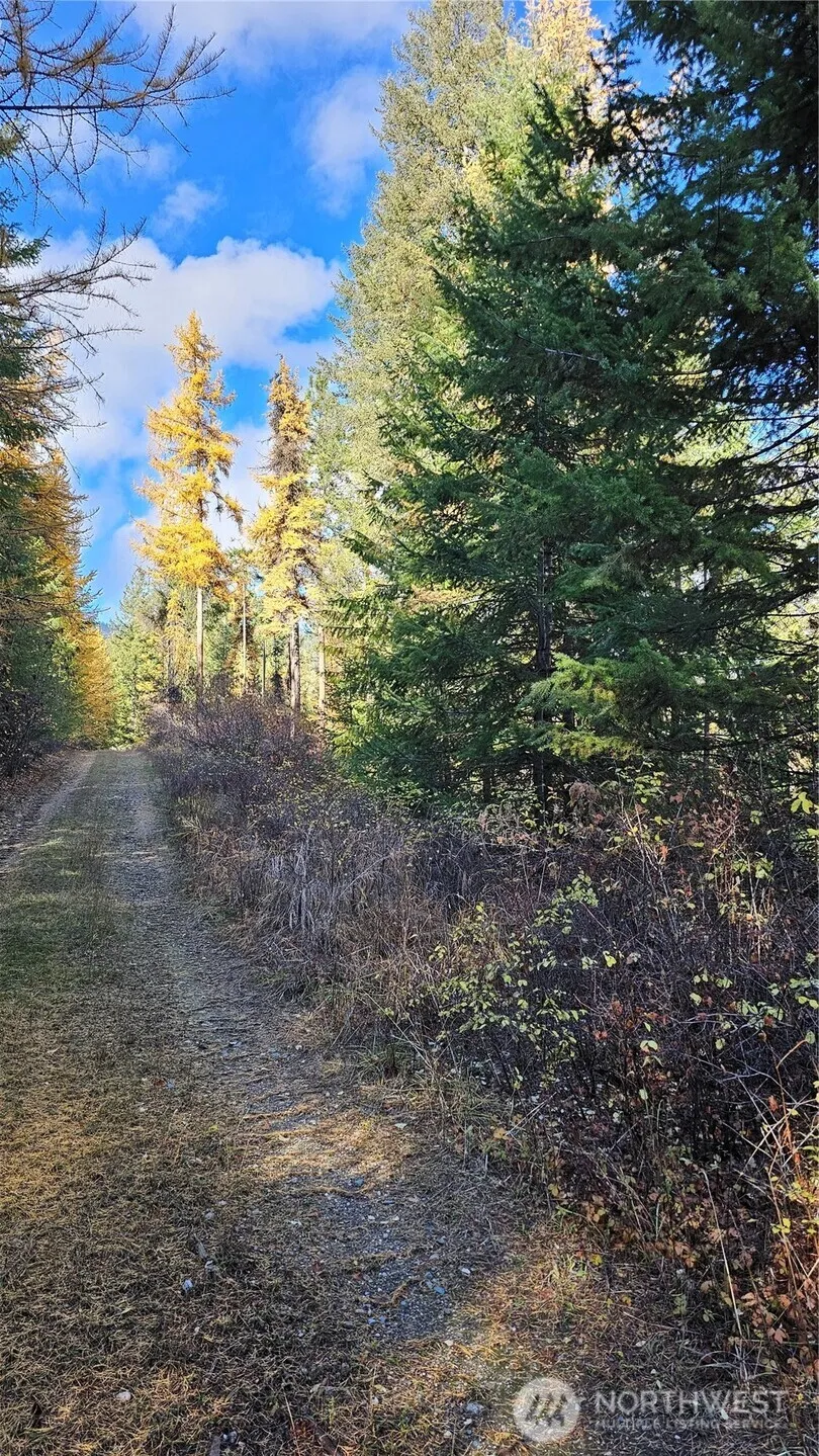 700 L Dry Gulch Road Colville, WA 99114