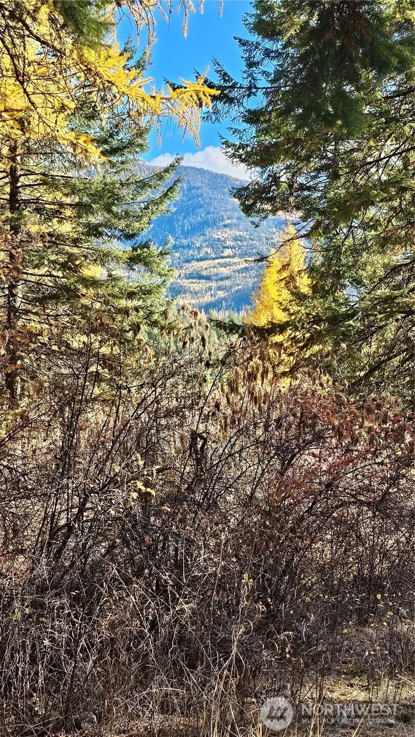700 L Dry Gulch Road Colville, WA 99114