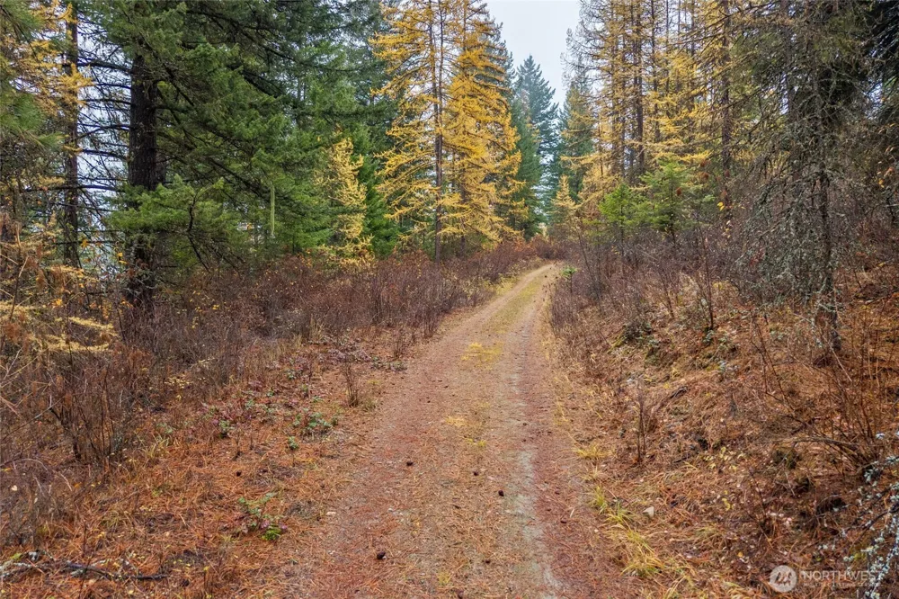 700 L Dry Gulch Road Colville, WA 99114