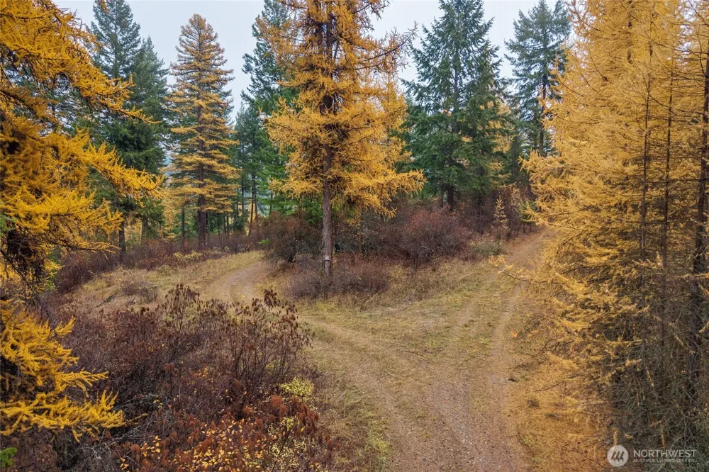700 L Dry Gulch Road Colville, WA 99114