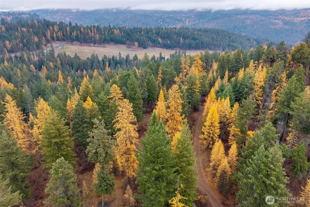 700 L Dry Gulch Road Colville, WA 99114