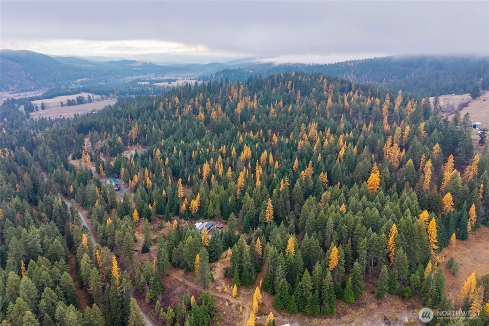 700 L Dry Gulch Road Colville, WA 99114
