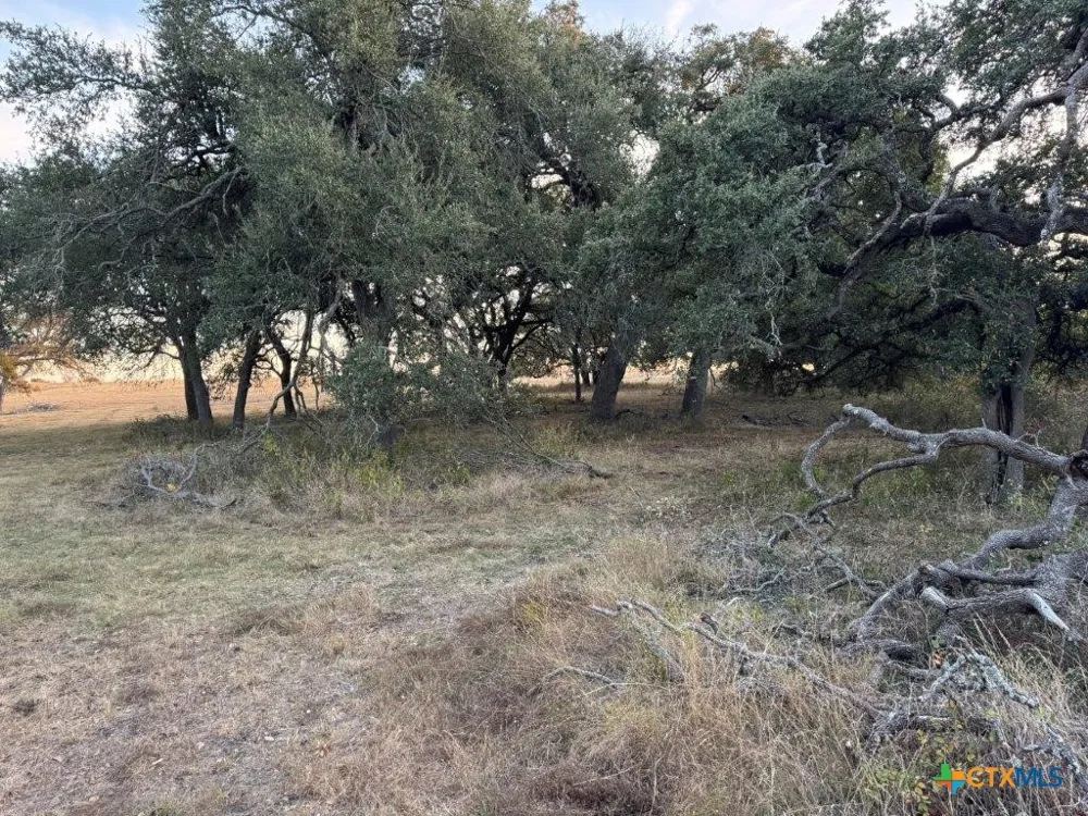 Fm-1105 Georgetown, TX 78626