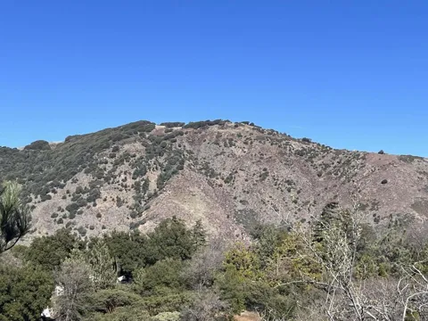Banner View Dr