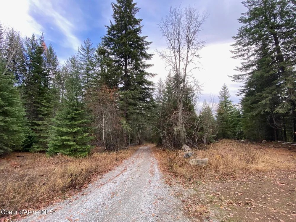 696 Raven Ridge Sandpoint, ID 83864