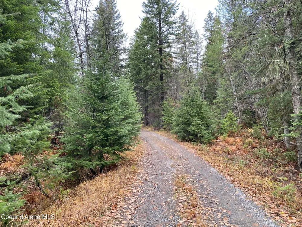 696 Raven Ridge Sandpoint, ID 83864