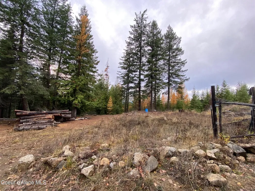 696 Raven Ridge Sandpoint, ID 83864