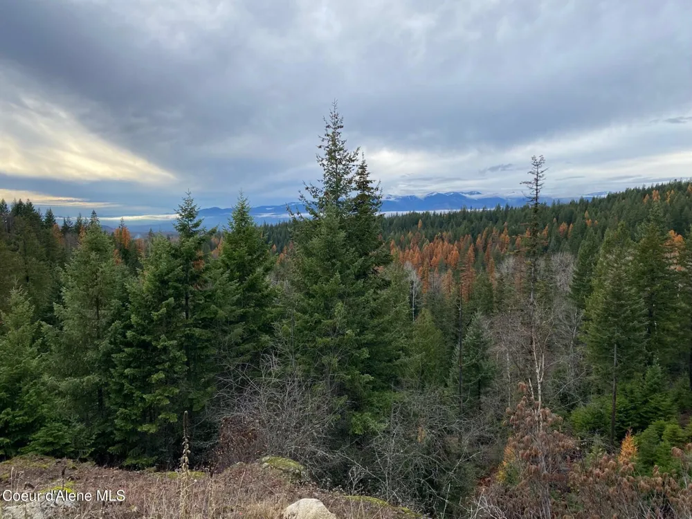 696 Raven Ridge Sandpoint, ID 83864