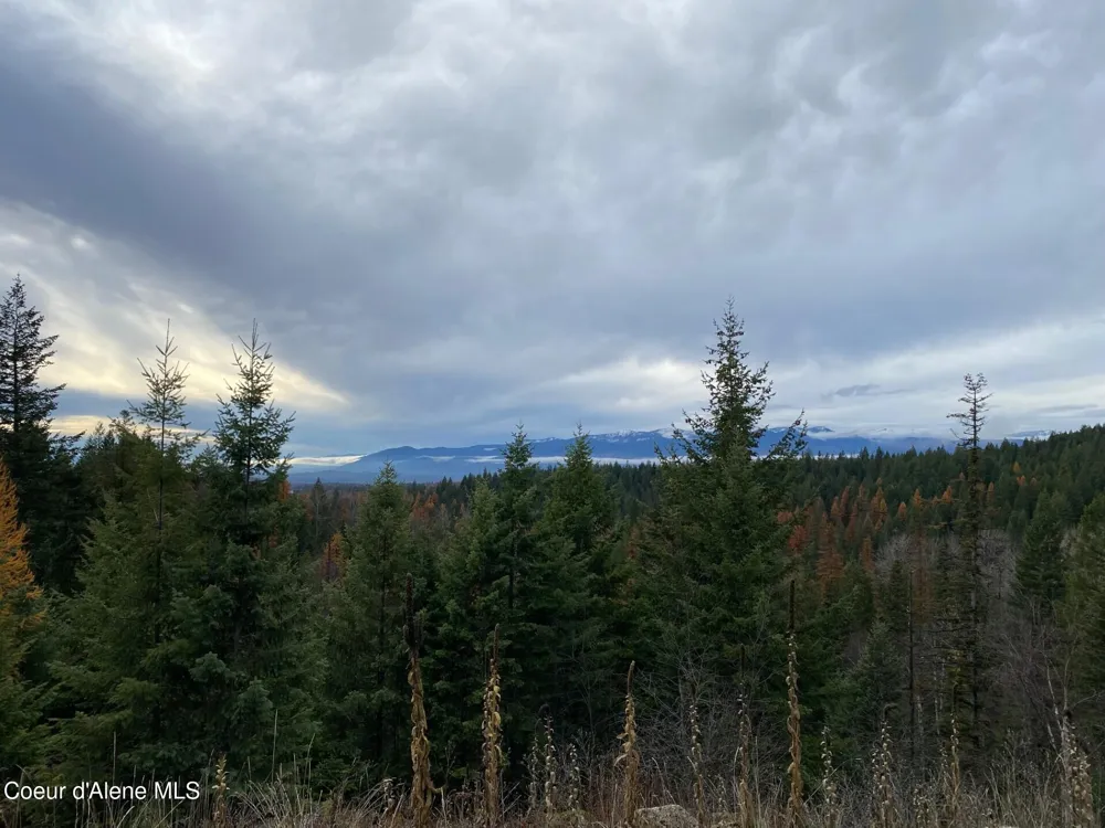 696 Raven Ridge Sandpoint, ID 83864