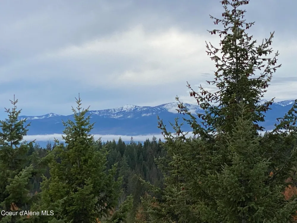 696 Raven Ridge Sandpoint, ID 83864
