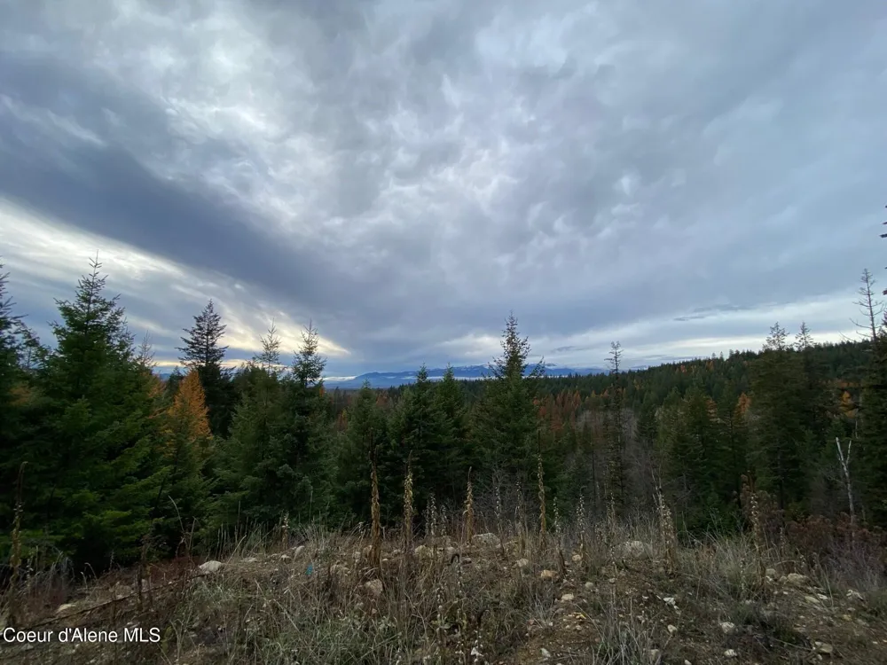 696 Raven Ridge Sandpoint, ID 83864