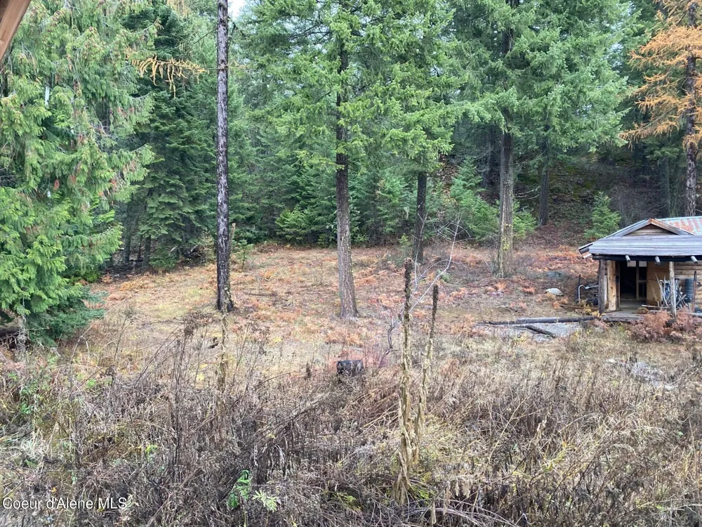 696 Raven Ridge Sandpoint, ID 83864