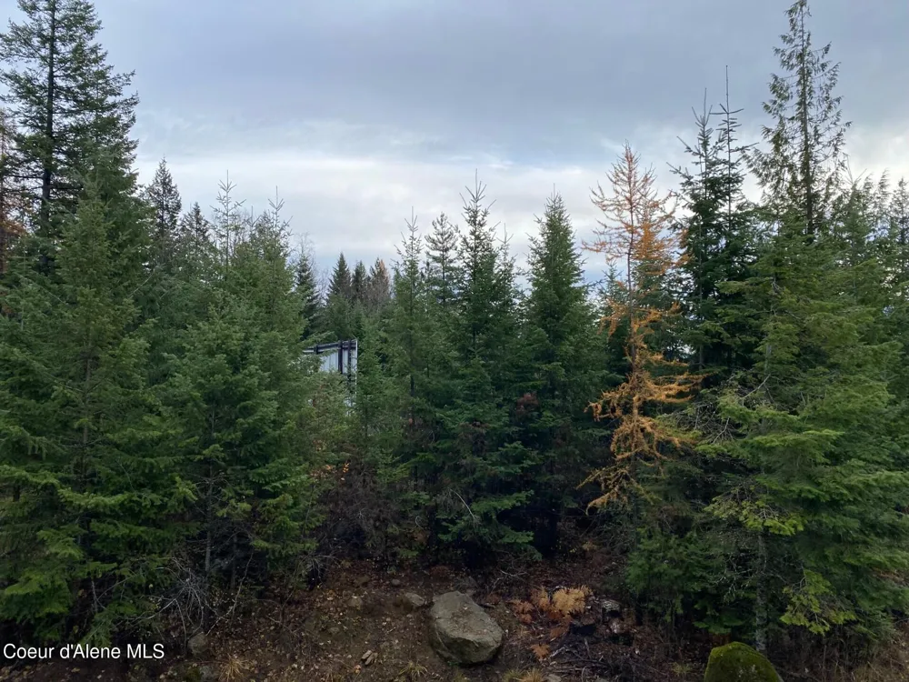 696 Raven Ridge Sandpoint, ID 83864
