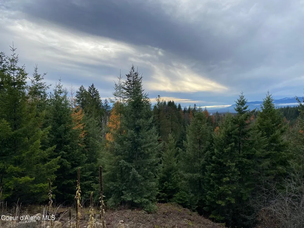 696 Raven Ridge Sandpoint, ID 83864