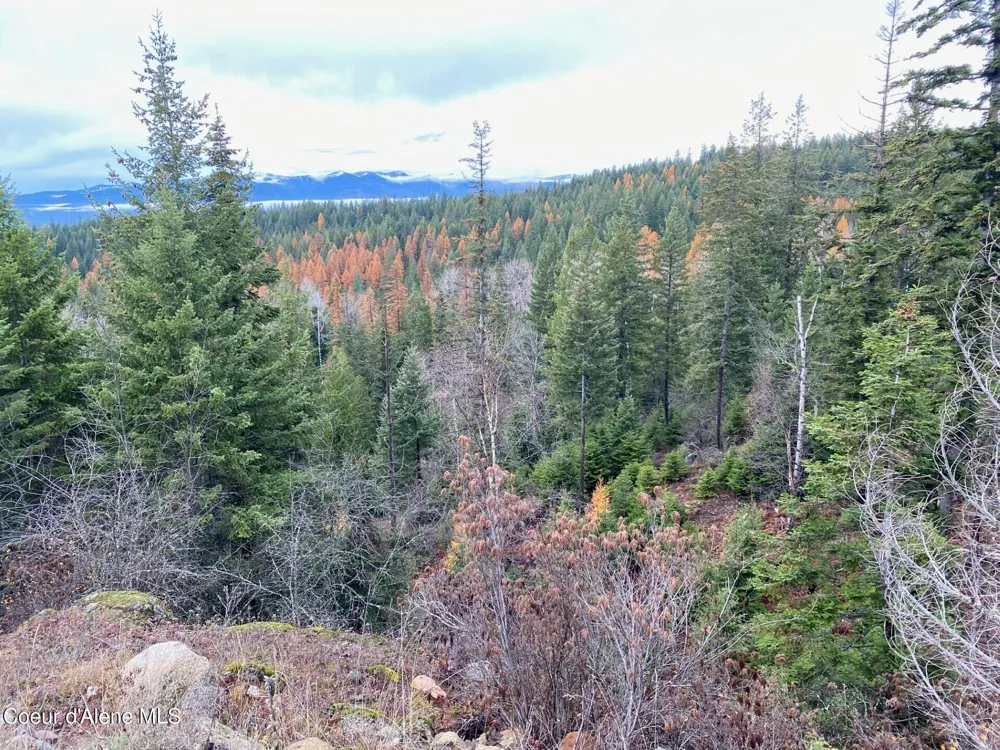 696 Raven Ridge Sandpoint, ID 83864