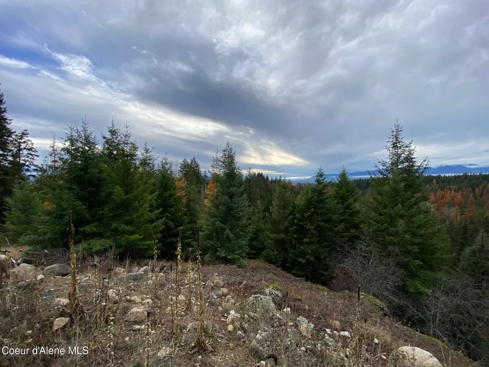 696 Raven Ridge Sandpoint, ID 83864