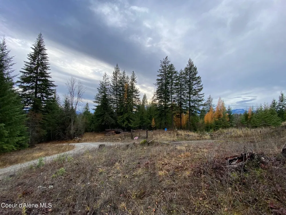 696 Raven Ridge Sandpoint, ID 83864