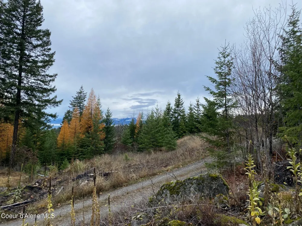 696 Raven Ridge Sandpoint, ID 83864