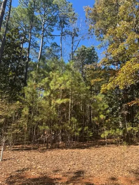 403 Highland Park Loop
