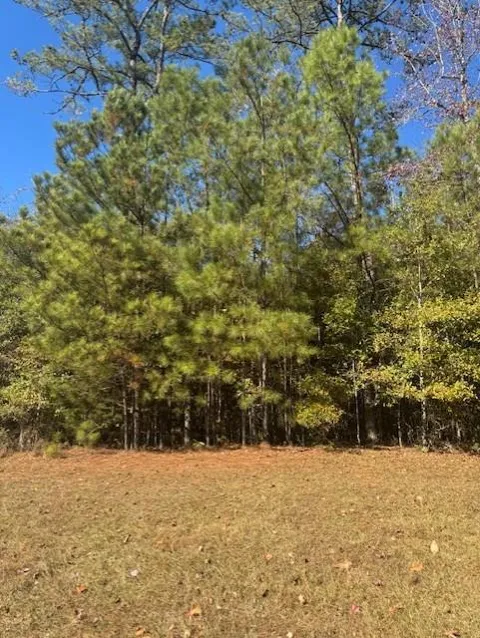 413 Highland Park Loop