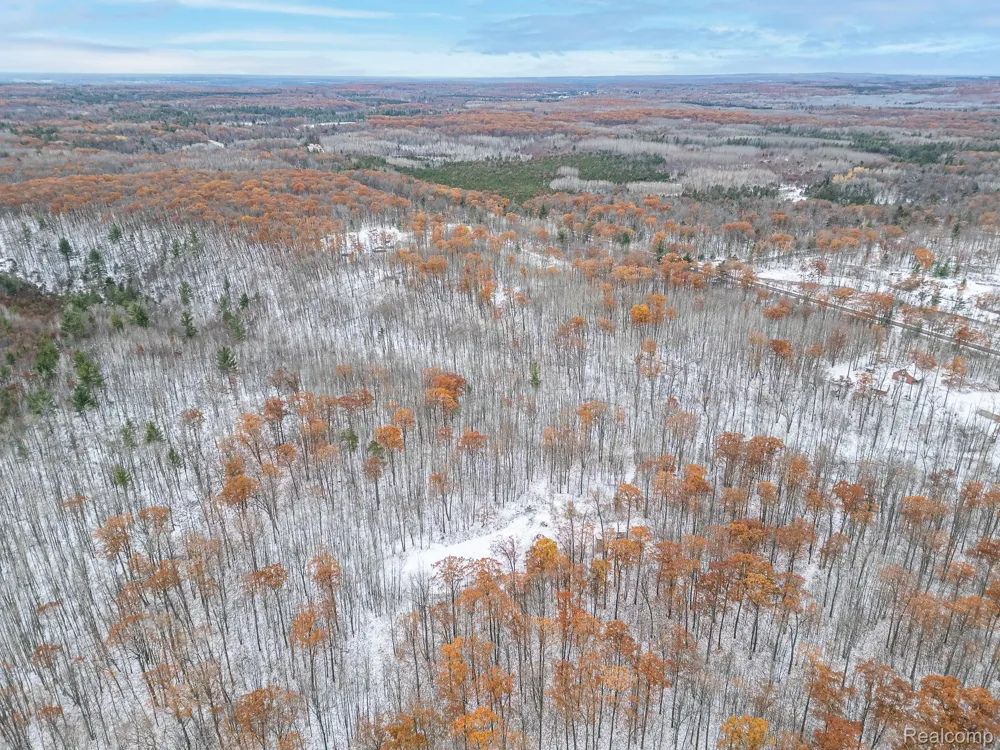 N Fairview Rd Klacking Township, MI 48661