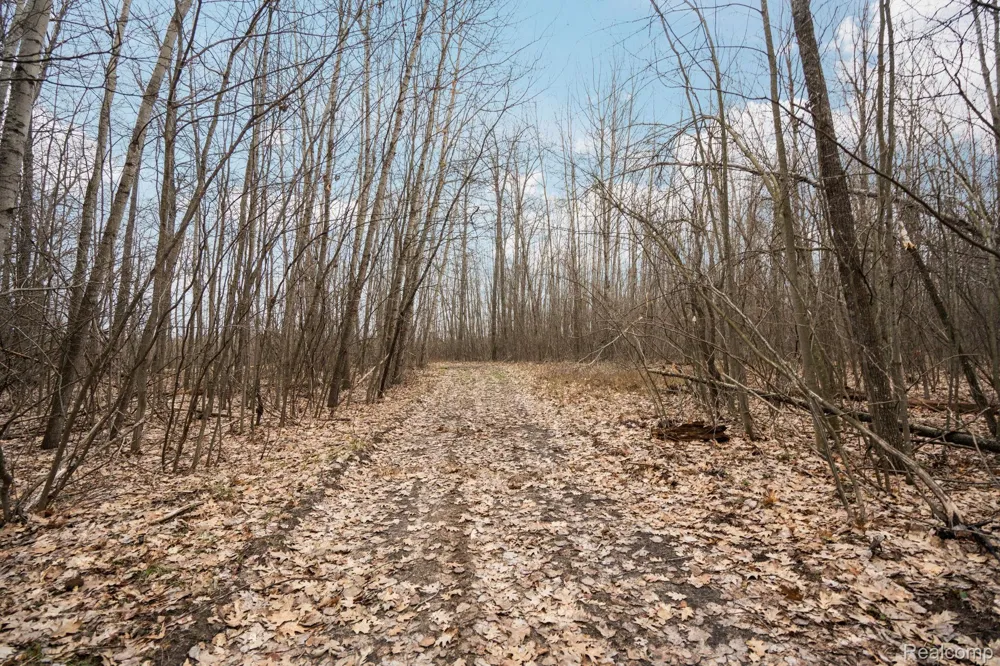N Fairview Rd Klacking Township, MI 48661