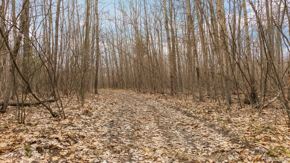 N Fairview Rd Klacking Township, MI 48661