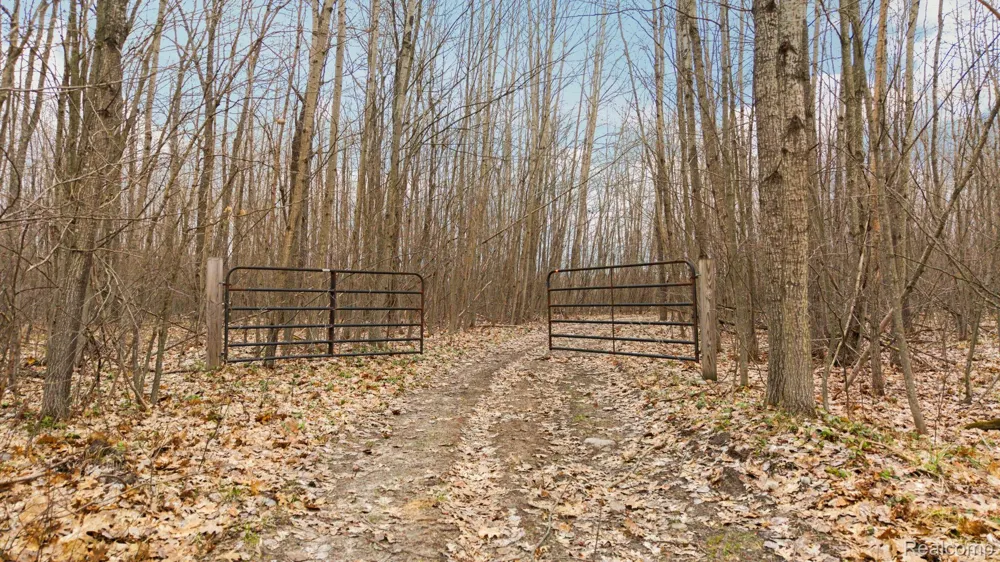 N Fairview Rd Klacking Township, MI 48661