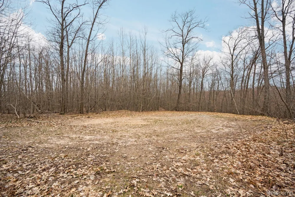 N Fairview Rd Klacking Township, MI 48661