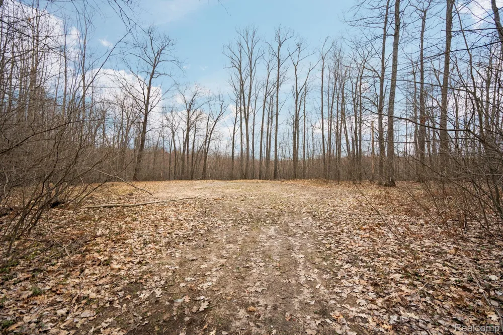 N Fairview Rd Klacking Township, MI 48661