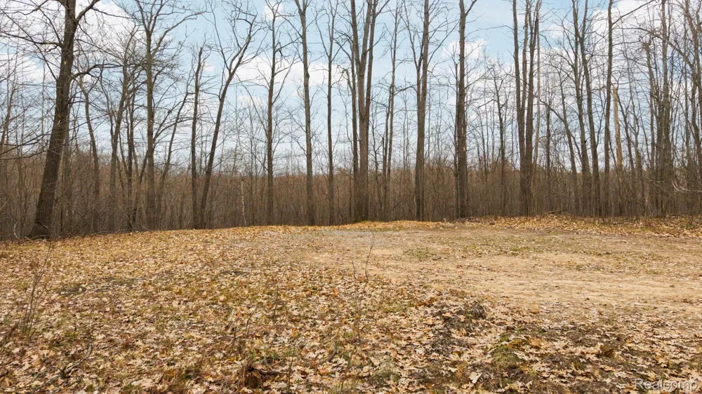 N Fairview Rd Klacking Township, MI 48661
