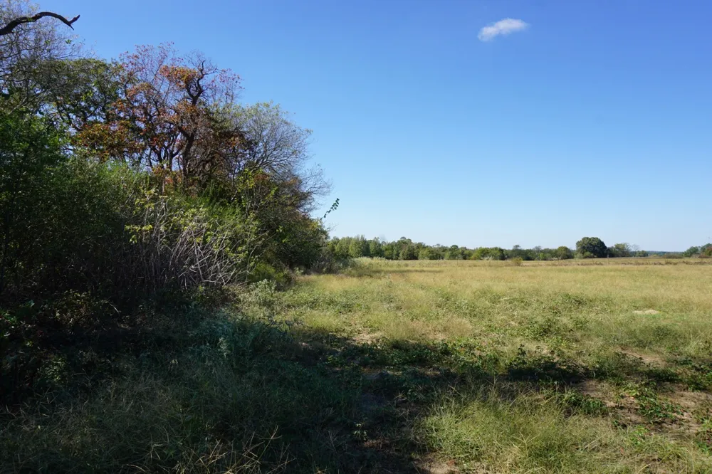 4301 Plainview Road Naples, TX 75571