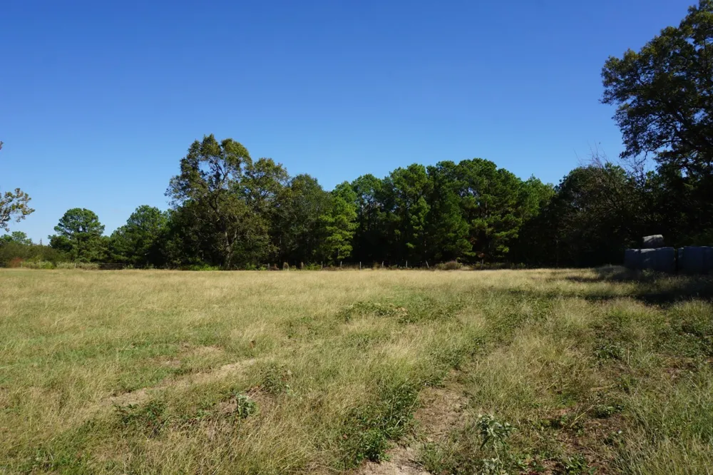 4301 Plainview Road Naples, TX 75571