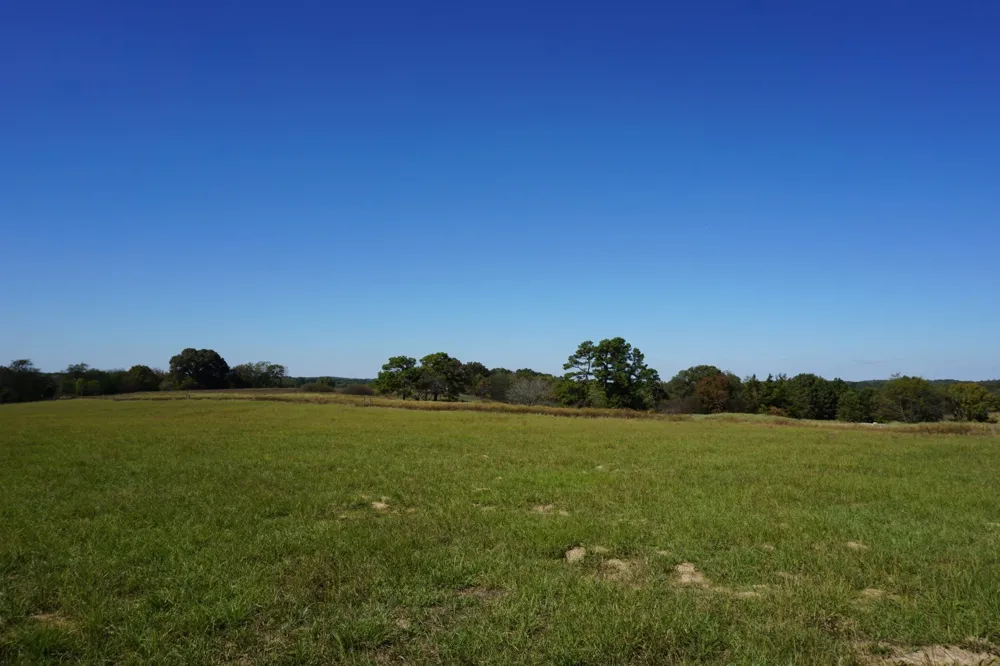 4301 Plainview Road Naples, TX 75571